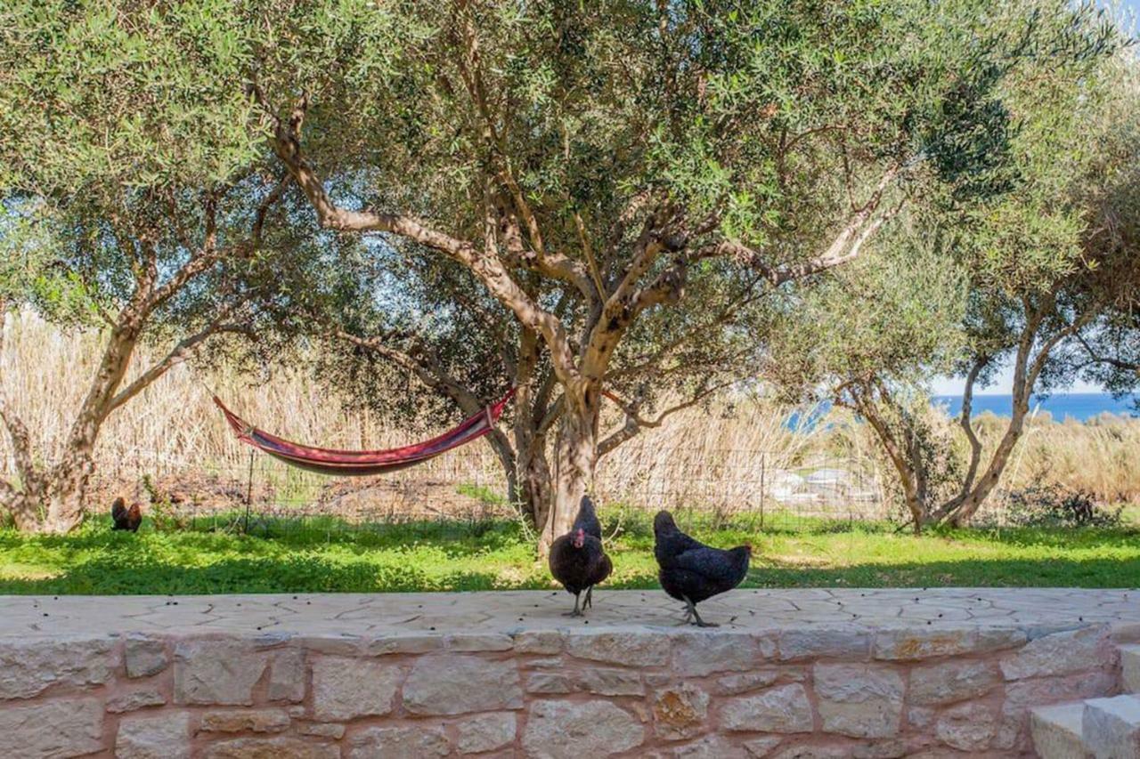 Olive Tree Farm 200M From The Beach Επισκοπή Χανίων Εξωτερικό φωτογραφία