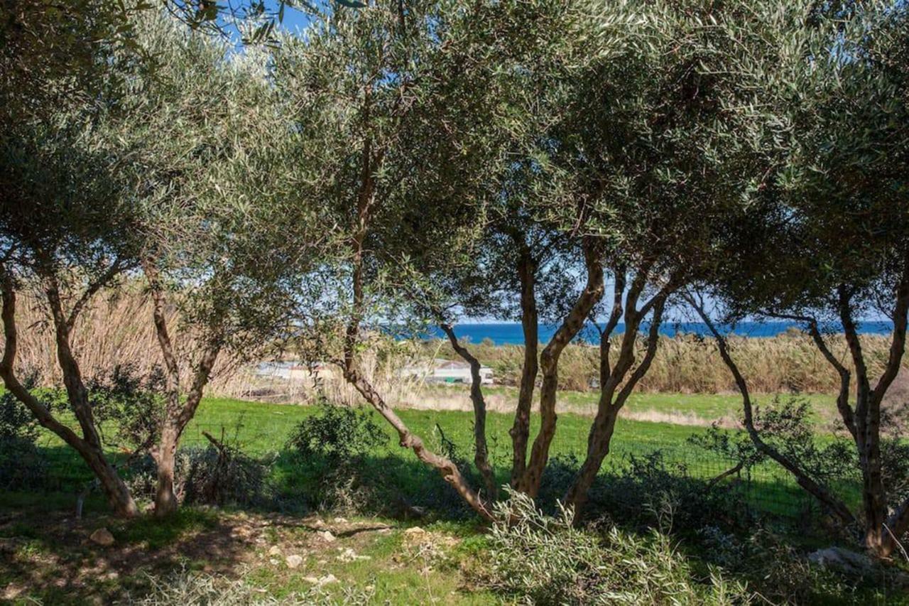 Olive Tree Farm 200M From The Beach Επισκοπή Χανίων Εξωτερικό φωτογραφία