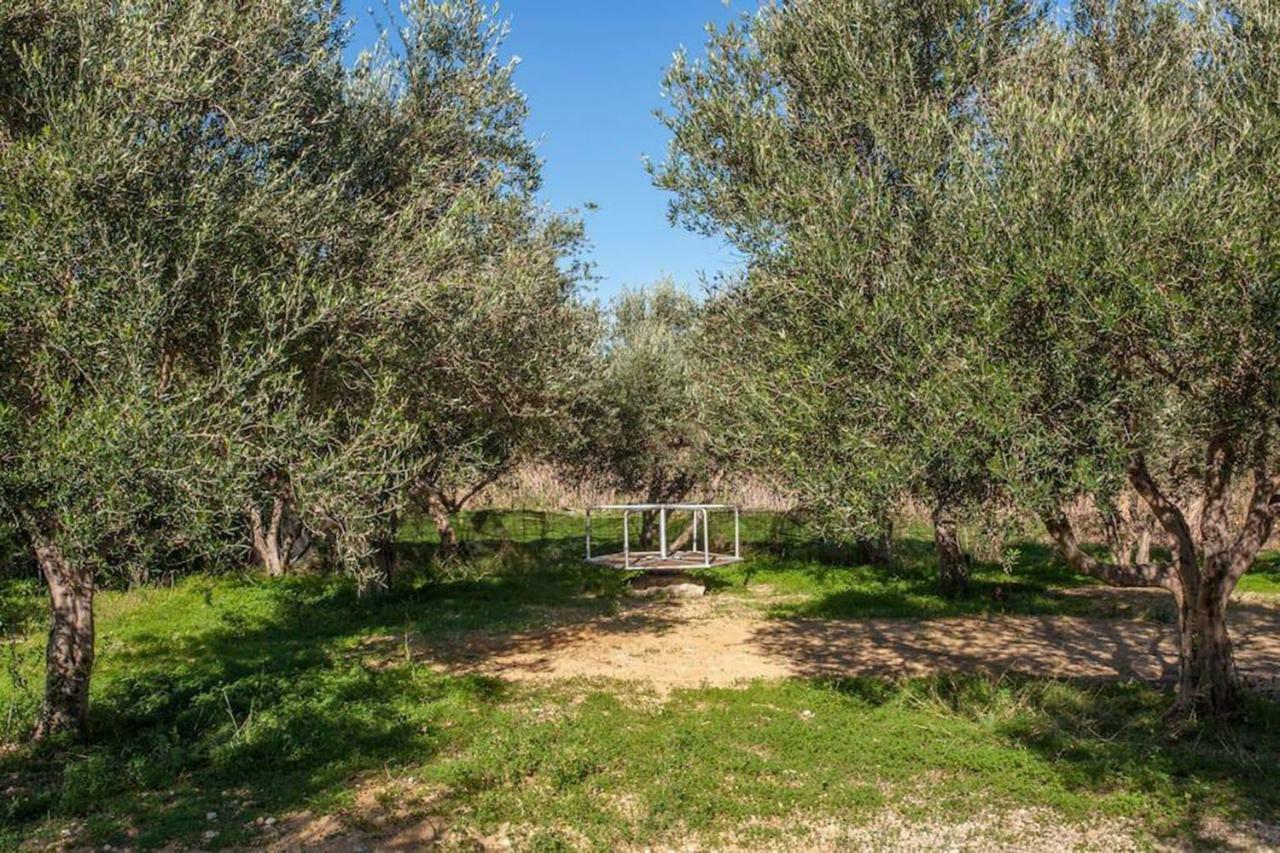 Olive Tree Farm 200M From The Beach Επισκοπή Χανίων Εξωτερικό φωτογραφία