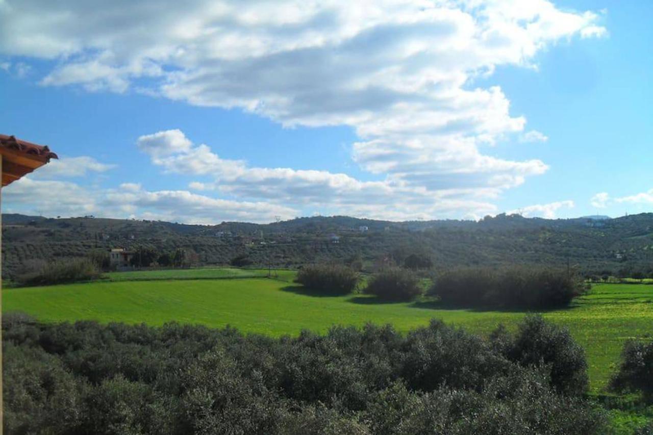 Olive Tree Farm 200M From The Beach Επισκοπή Χανίων Εξωτερικό φωτογραφία