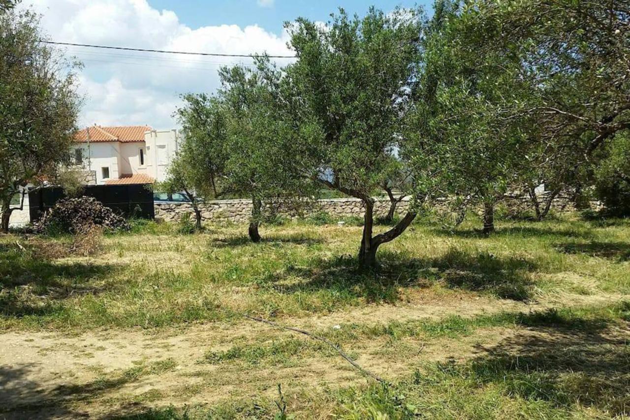 Olive Tree Farm 200M From The Beach Επισκοπή Χανίων Εξωτερικό φωτογραφία