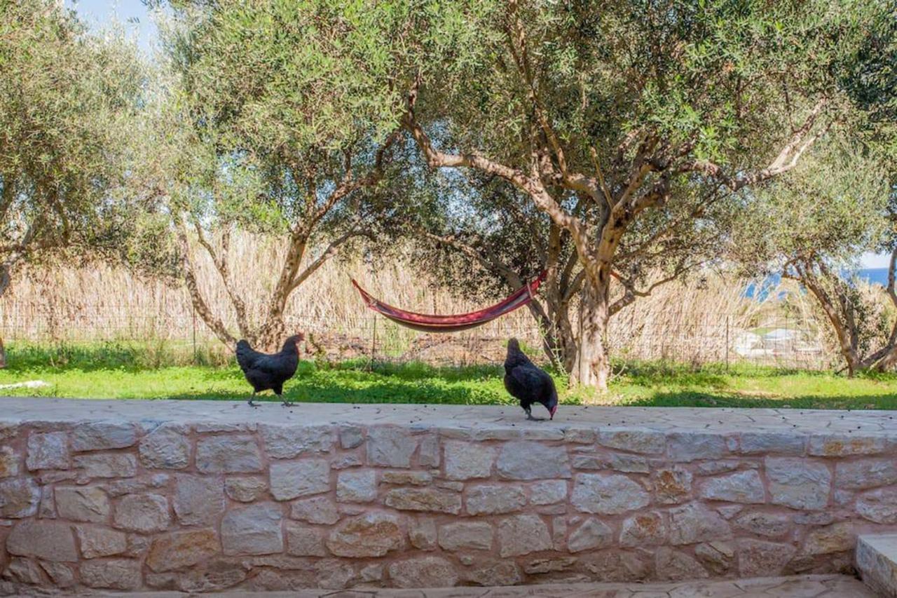 Olive Tree Farm 200M From The Beach Επισκοπή Χανίων Εξωτερικό φωτογραφία